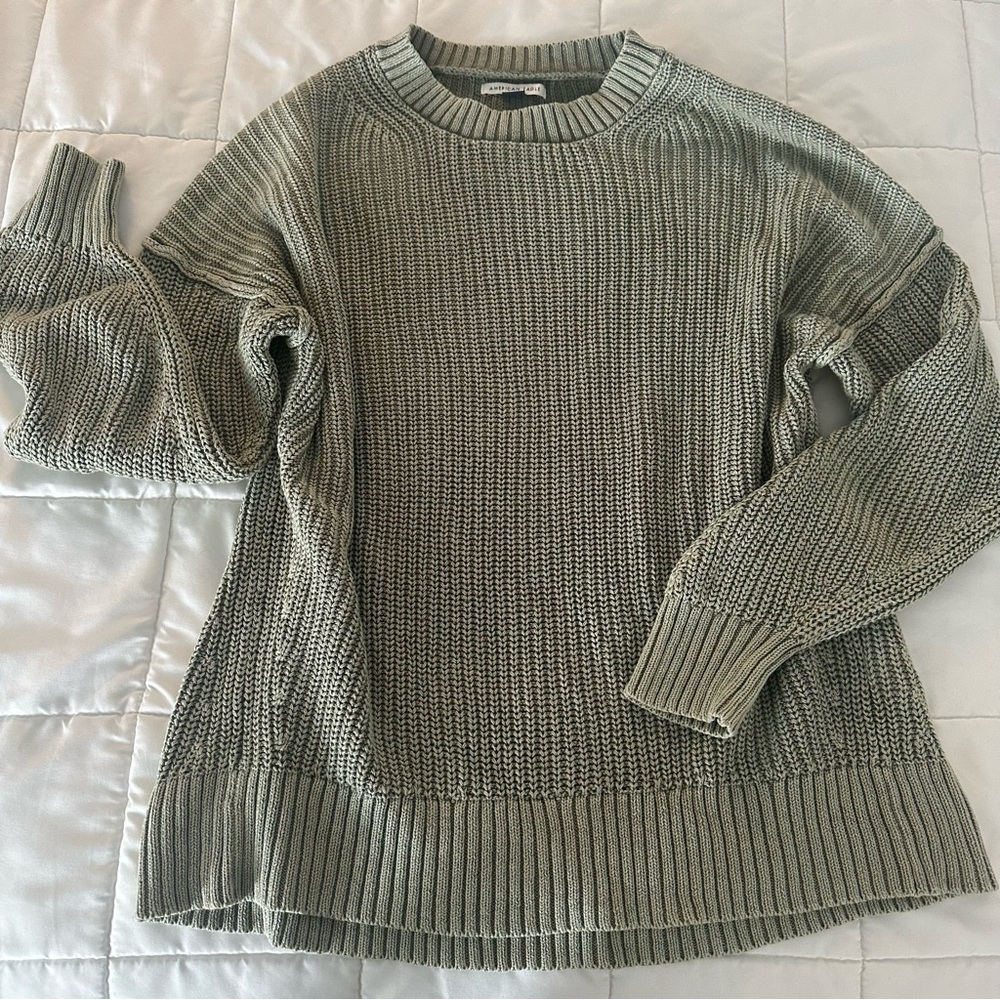 American Eagle Outfitters Sage Green Crewneck Sweater